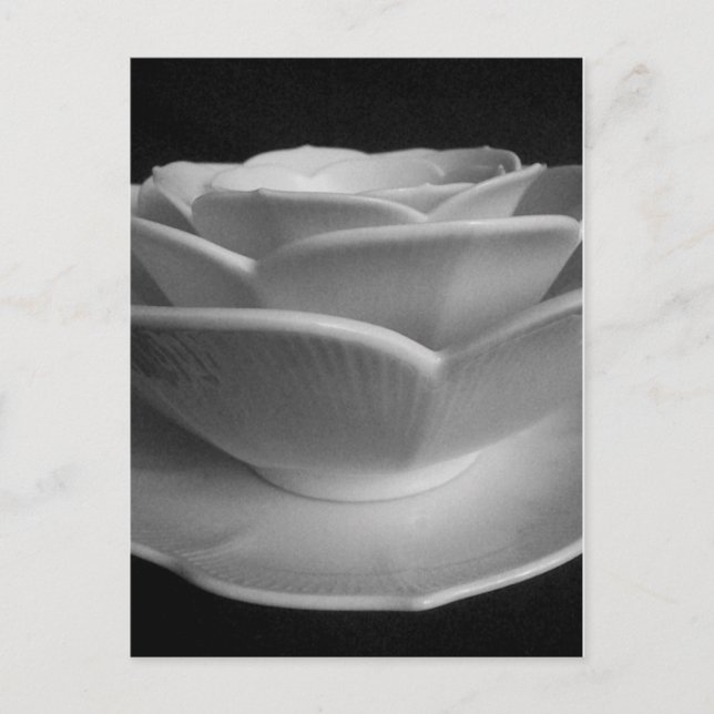 Flower Petal Bowls Postcard (Front)