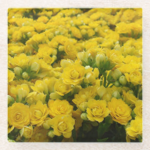 Flower Photo Bright Yellow Blooms Feminine Floral Glass Coaster