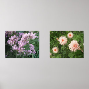 Flower photo print set of two picture prints