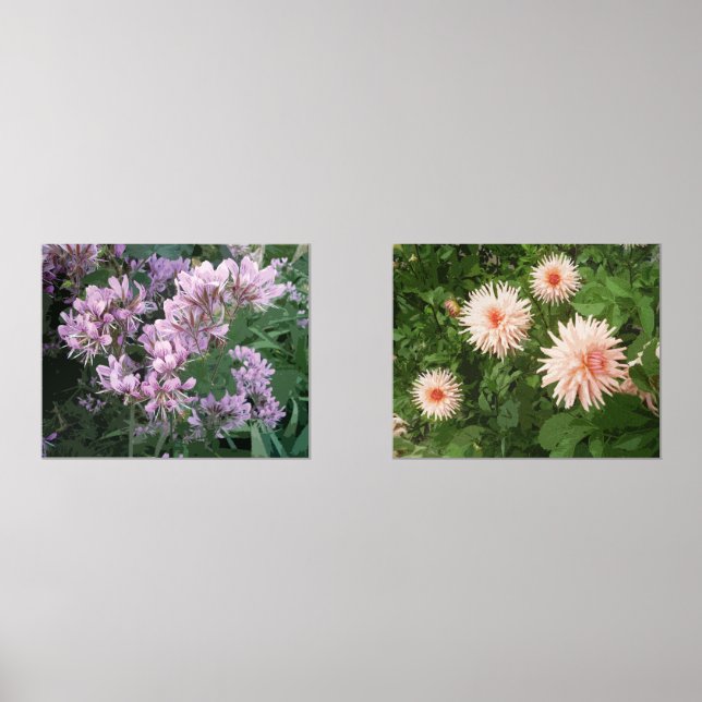 Flower photo print set of two picture prints (Front)