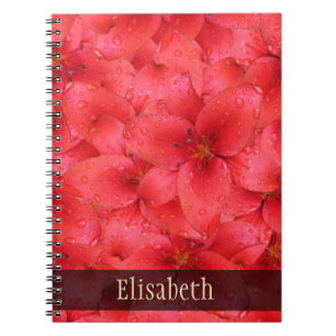 Flower Photo Red Garden Lilies any Name Notebook