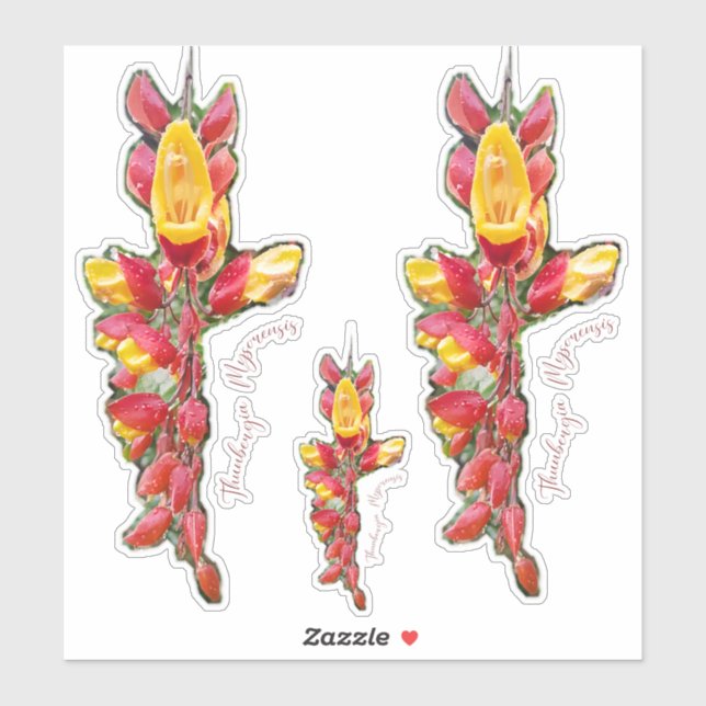 Flower photography (Sheet)