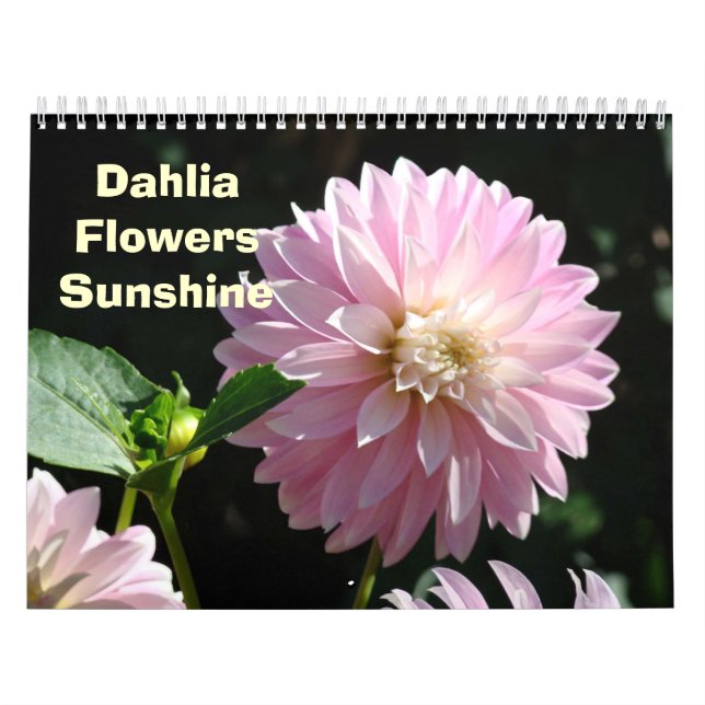 Flower Photography Calendar DAHLIA Flowers Floral (Cover)