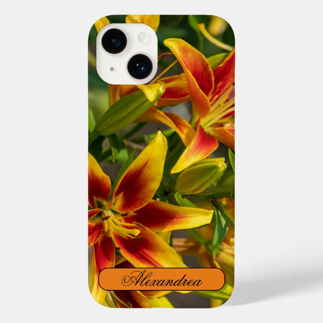 Flower Photography, Orange and Yellow Daylily Case-Mate iPhone Case (Back)