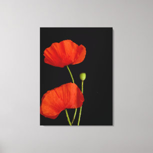 Flower picture canvas print