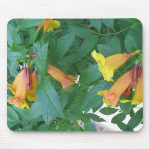Flower Pictures Mouse Mat