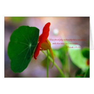 Flower & Plant lean on each other.