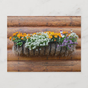 Flower Planter Log Cabin Postcard