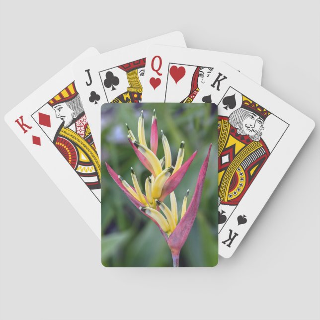 Flower Playing Cards (Back)