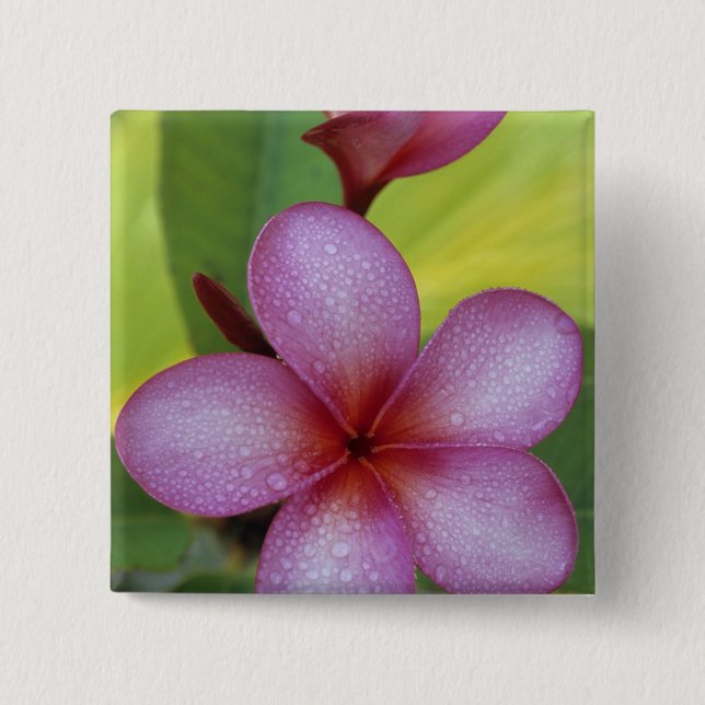 Flower, Plumeria sp.), South Pacific, Niue 15 Cm Square Badge (Front)