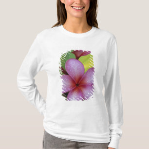 Flower, Plumeria sp.), South Pacific, Niue T-Shirt