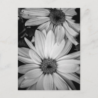 Flower Postcard