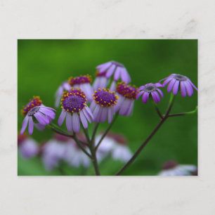 Flower Postcard