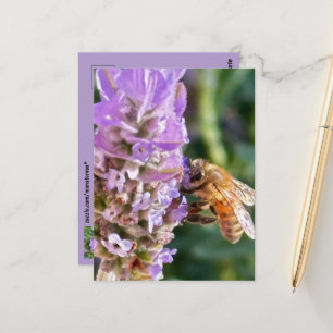 Flower Postcard
