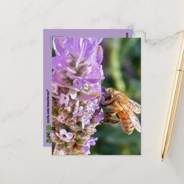 Flower Postcard (Front/Back In Situ)