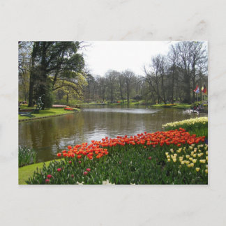 Flower postcard 63