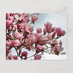 Flower postcard 79