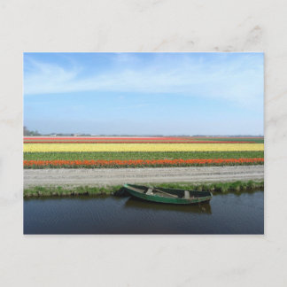 Flower postcard 96