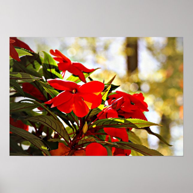 Flower Poster (Front)