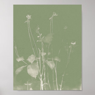 Flower Pot Green Wildflower Cyanotype 1 Poster