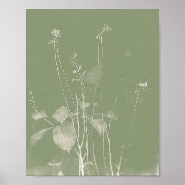 Flower Pot Green Wildflower Cyanotype 1 Poster (Front)