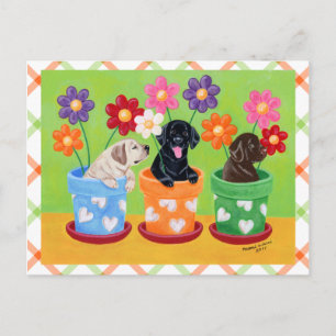 Flower Pot Labrador Puppies Postcard