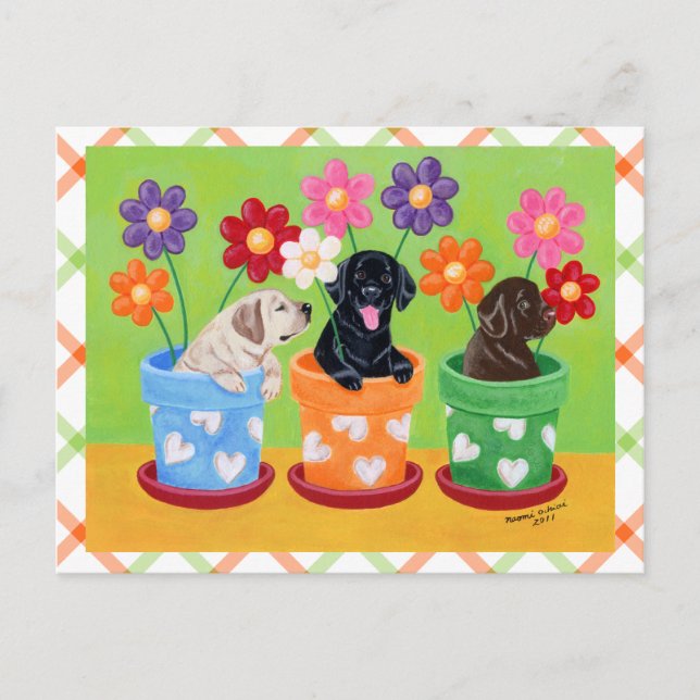 Flower Pot Labrador Puppies Postcard (Front)