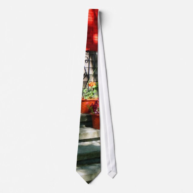 Flower Pots and Red Shutters Tie (Front)