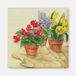 Flower pots, magnet