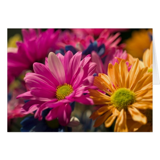 Flower Power (Front Horizontal)