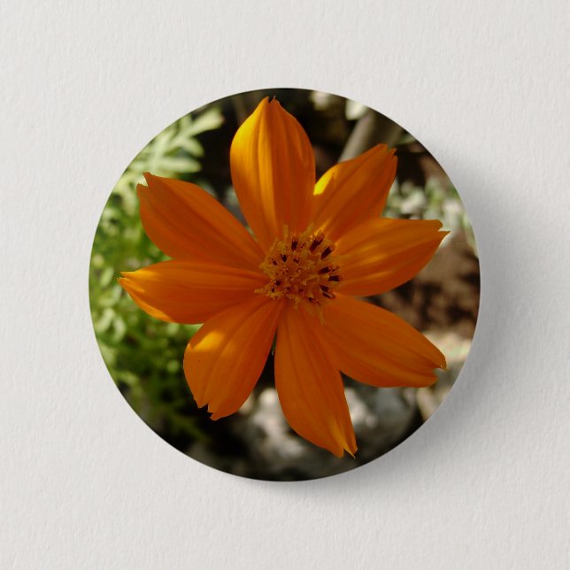 Flower Power 6 Cm Round Badge (Front)