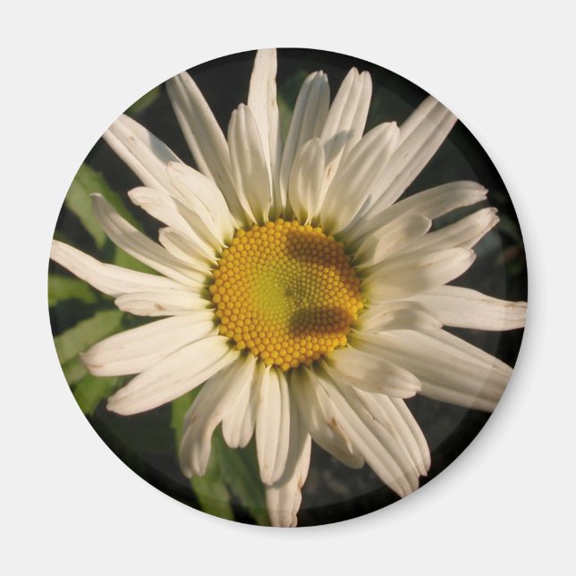 Flower Power Magnet (Front)