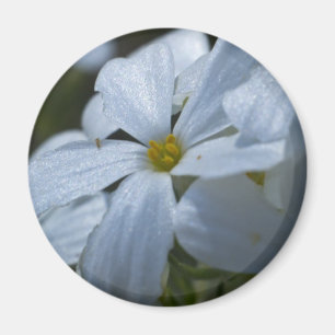 Flower Power Magnet