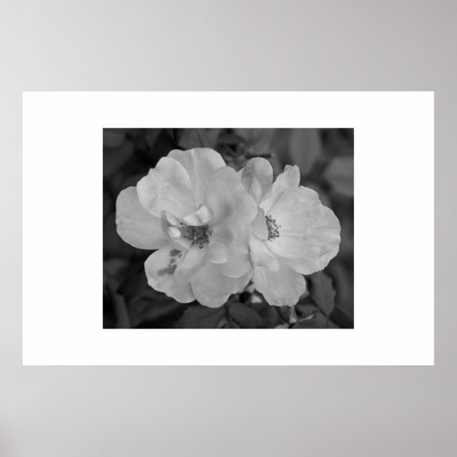 Flower Print (Front)