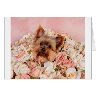Flower pup