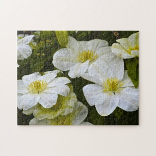 Flower Puzzle