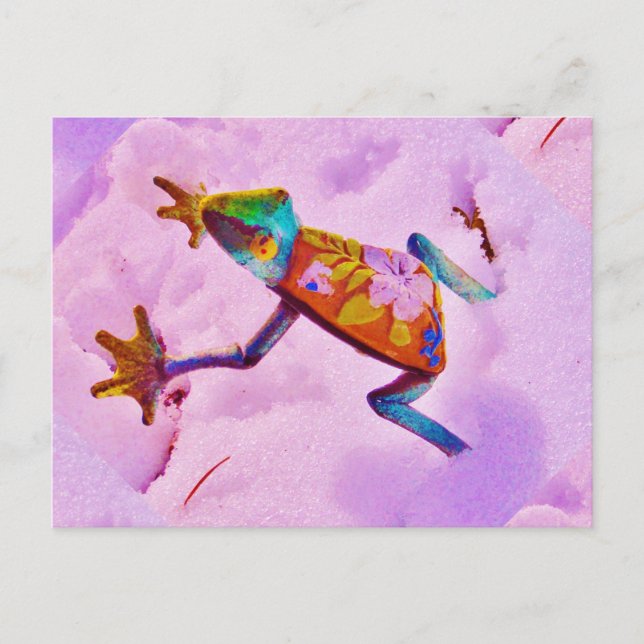 Flower rainbow frog on orchid colour snow postcard (Front)