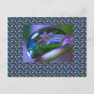 Flower REFLECTION on a DEW DROP . lowprice GIFTS Postcard
