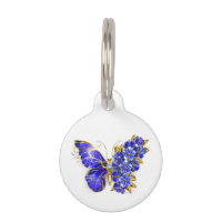 Flower Sapphire Butterfly