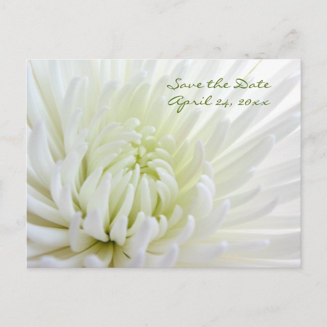 Flower Save the Date Wedding Postcard (Front)