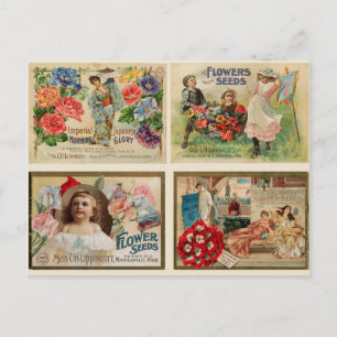 Flower Seeds Vintage Collage Postcard