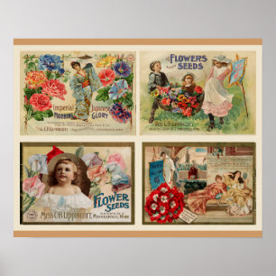 Flower Seeds Vintage Collage Poster