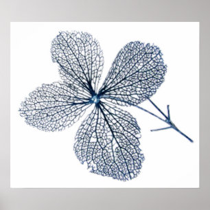 Flower Skeleton ~ print