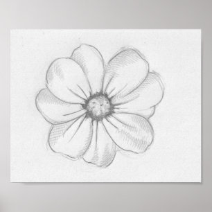 Flower Sketch Poster