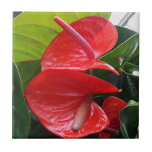 Flower Small (4.25" x 4.25") Ceramic Photo Tile