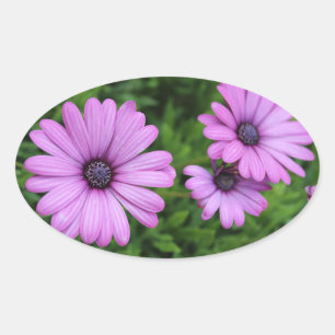 Flower stickers