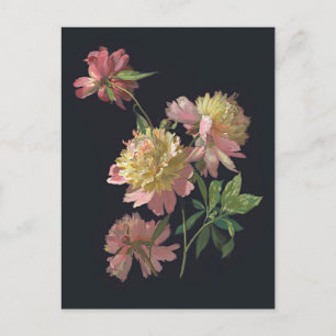 Flower Study Peonies Art Postcard