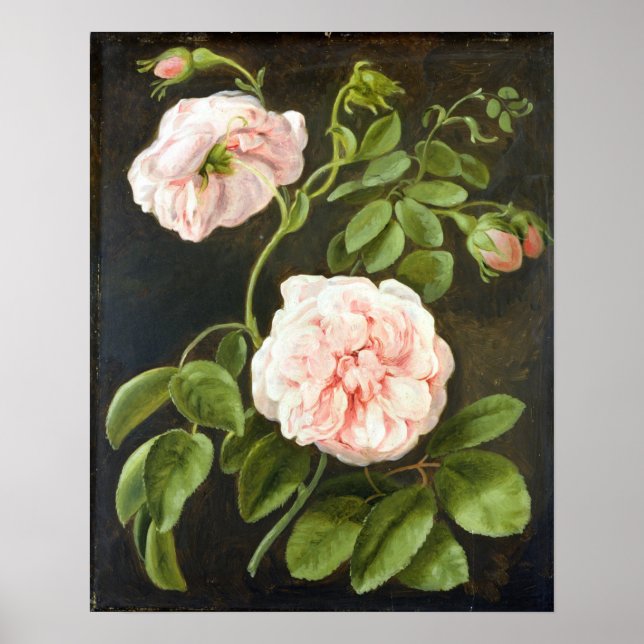 Flower Study Poster (Front)