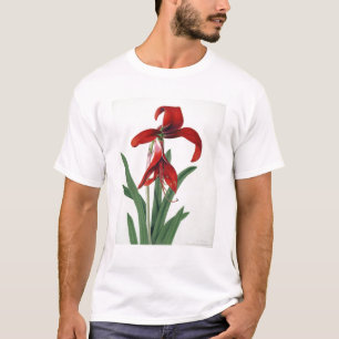 Flower Study, T-Shirt