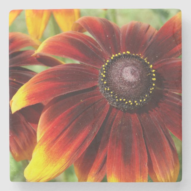 Flower Summer photo  Marble Stone Coaster (Front)